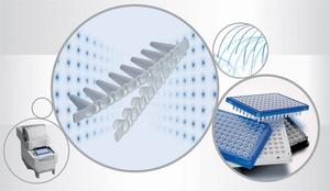 （圖）聚合酶鏈反應
