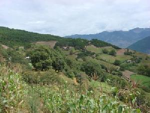 水期登村 水期登村