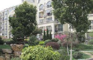 晨光新苑 晨光新苑