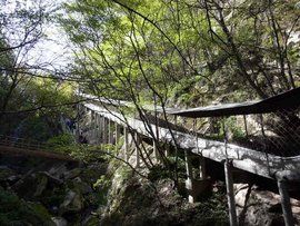 祥峪森林公園 祥峪森林公園