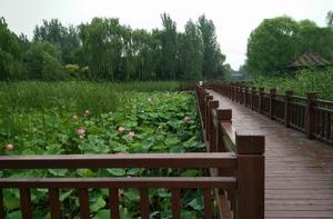 戴河生態園 戴河生態園