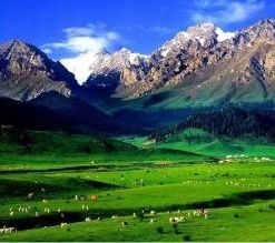 阿吾斯奇旅遊風景區 阿吾斯奇旅遊風景區