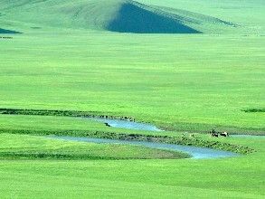擺榜大草原 擺榜大草原