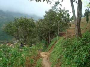 紅石頭村 紅石頭村