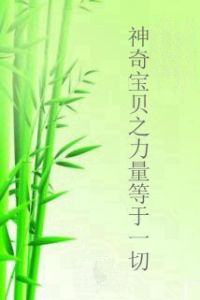 神奇寶貝之力量等於一切 神奇寶貝之力量等於一切