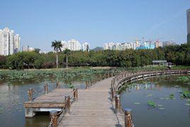 洪湖公園 洪湖公園
