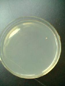 基礎培養基 基礎培養基