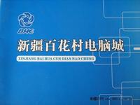 新疆百花村股份有限公司 新疆百花村股份有限公司