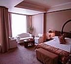 金華紫陽豪庭大酒店 金華紫陽豪庭大酒店