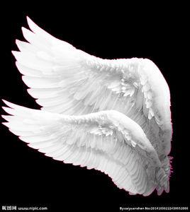 我們的翅膀[動畫我的朋友很少NEXT的主題曲]