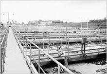 四川劍南春（集團）有限責任公司