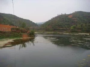 白石塘鄉 白石塘鄉