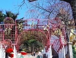 信號山公園 信號山公園