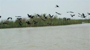 西洛貢區 西洛貢區