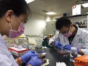 胡曉燕[上海長海醫院燒傷科副主任醫師，副教授]