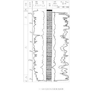 油層標準層 油層標準層