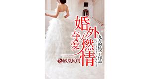 奪愛：婚外燃情