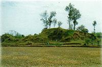 薛家崗古文化遺址