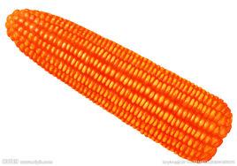 秦奧23號 秦奧23號