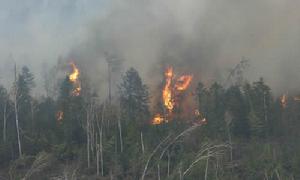 森林火災應急預案—相關圖片