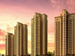 融科紫檀 融科紫檀