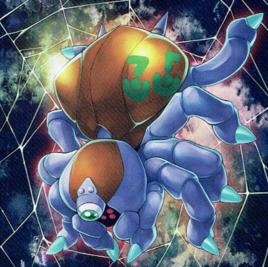 No.35 極餓捕鳥蛛