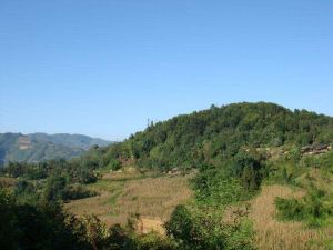 大山丫口村 大山丫口村