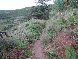 龍尾山自然村 龍尾山自然村