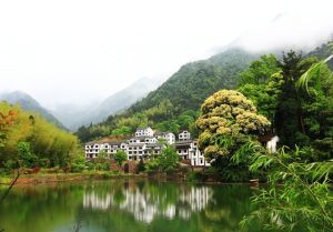 伯溫古村 伯溫古村