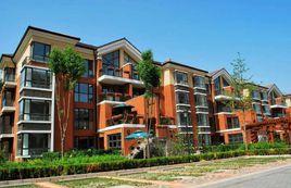 金色·漫香林 金色·漫香林