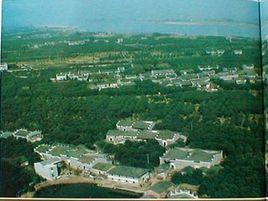 江西樟樹市永泰鎮 江西樟樹市永泰鎮