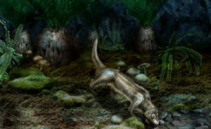 吉氏皮杜銀漢魚 吉氏皮杜銀漢魚