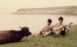 總有一天感動你 總有一天感動你