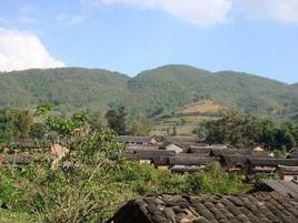 先鋒村[雲南省金山白族鄉先鋒村]