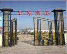 山西朔州至尊獒園 山西朔州至尊獒園