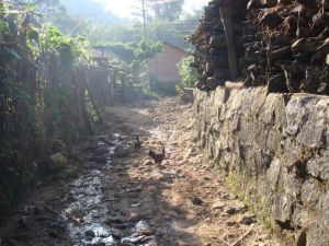 納丙新村 納丙新村