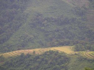 莫馬倮自然村 莫馬倮自然村