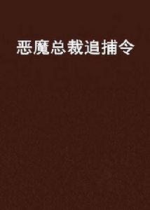 惡魔總裁追捕令