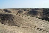 營盤古城墓地所在地