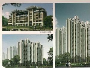 南嶺國際 南嶺國際