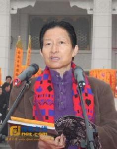 楊昶[成都軍區中醫藥研究所研究員]