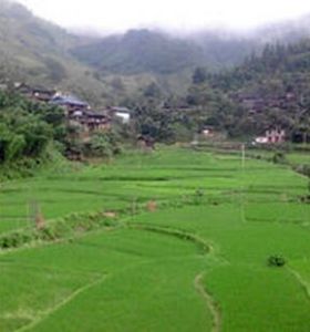 拉馬靠下寨自然村 拉馬靠下寨自然村