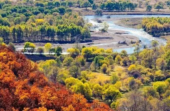 九月的東北逼瘋攝影師, 勾走了你的魂…