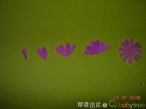 把圓形按以下從左到右的方法摺疊.(皺紋紙很薄,可以三片三片重疊起來摺疊)