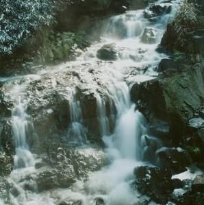 遂昌神龍谷 遂昌神龍谷