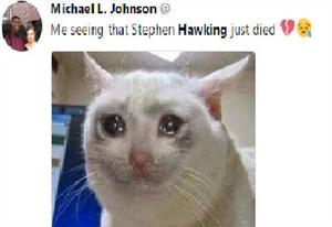 史蒂芬·威廉·霍金