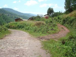 敘利河村 敘利河村