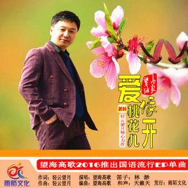 愛像桃花兒開 愛像桃花兒開