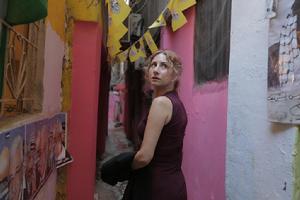 羞辱[黎巴嫩2017年齊德&middot;多爾里執導電影]