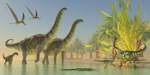 諾曼第翼龍 諾曼第翼龍